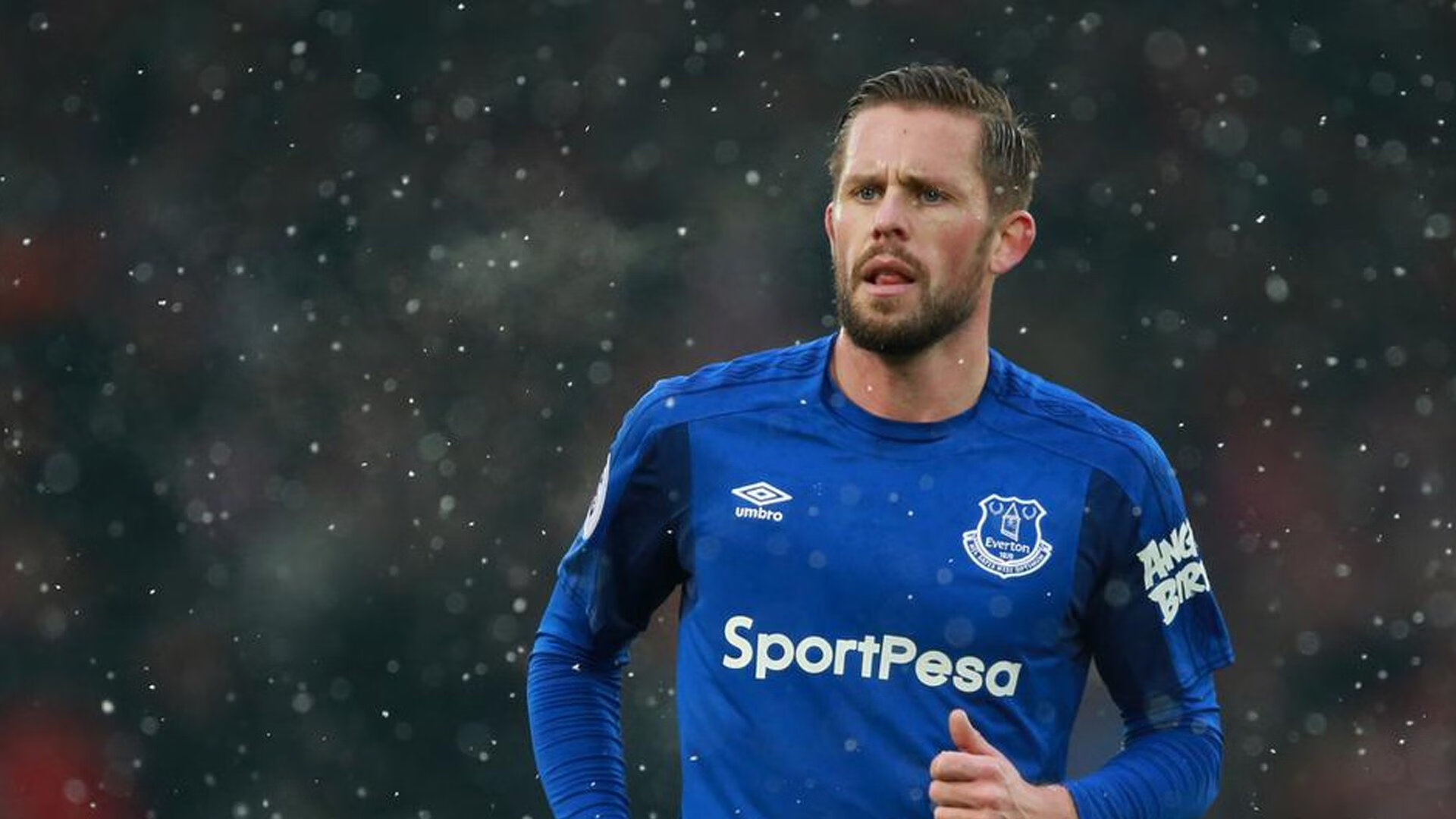 科维托娃遭遇七连败，MAD教练面临压力！